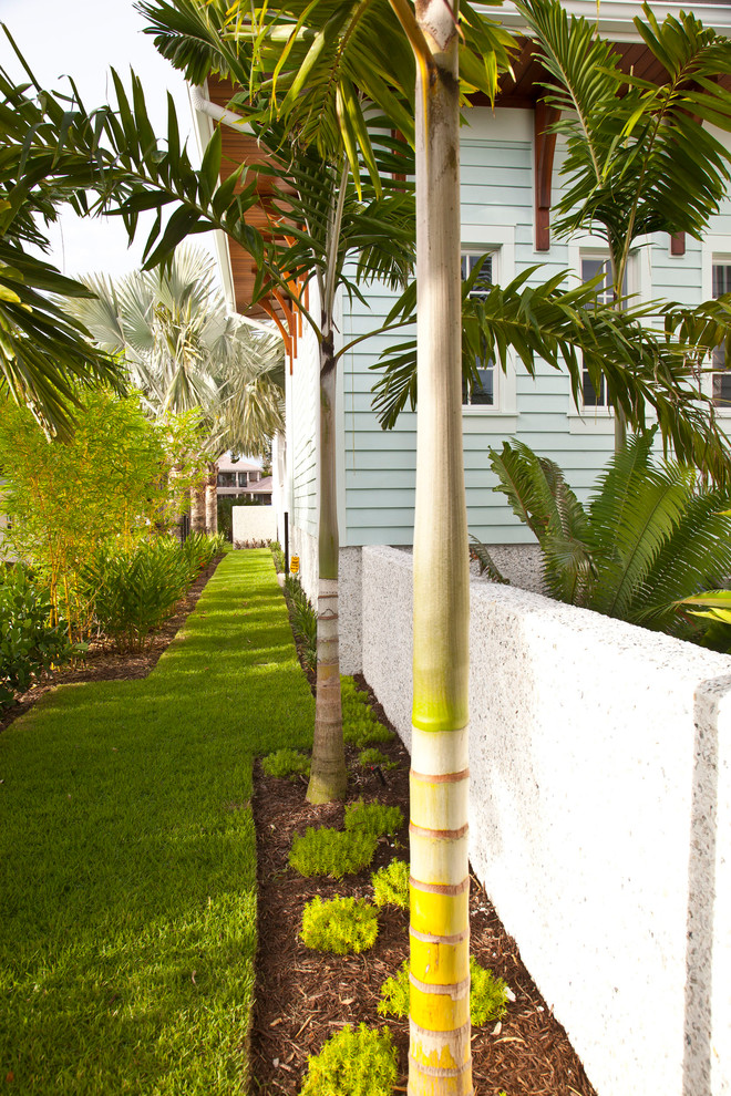 Design ideas for a tropical exterior in Tampa.