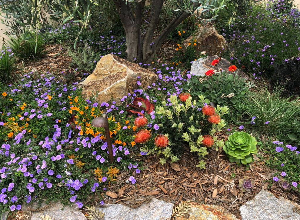 Exemple d'un petit xéropaysage avant éclectique au printemps avec un massif de fleurs, une exposition ensoleillée, des pavés en pierre naturelle et une clôture en pierre.
