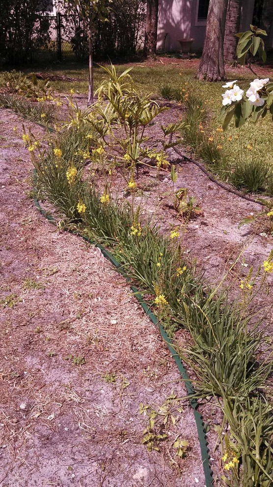 6 Dependable Ground Covers for Warm Climates