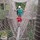 webuser_588494