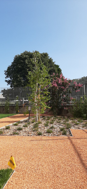 Verde scolastico modern-garten
