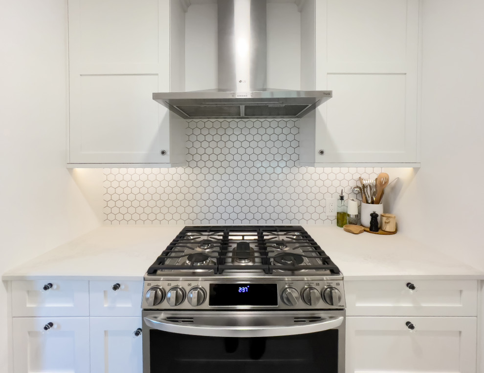 Kitchen - transitional kitchen idea