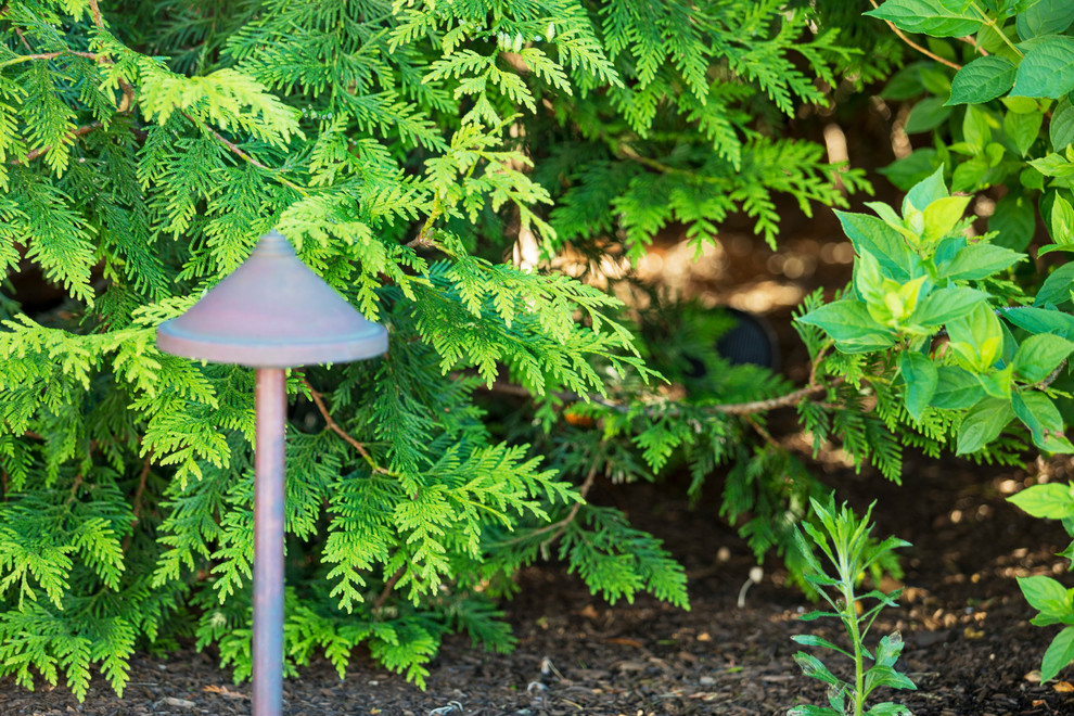 Inspiration for a mid-sized transitional backyard mulch landscaping in Boston.