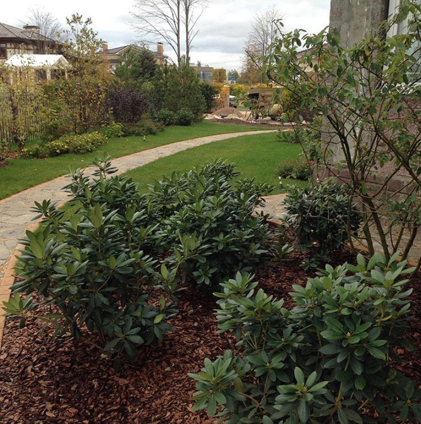 Миллениум Новая Рига