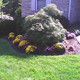 Landscape Problem Solvers, Ltd.
