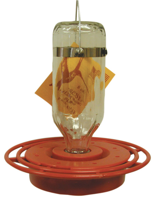 Best 1 Hummingbird Feeder Transitional Bird Feeders By Birds
