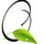 Quadscapes Landscaping Services LLC