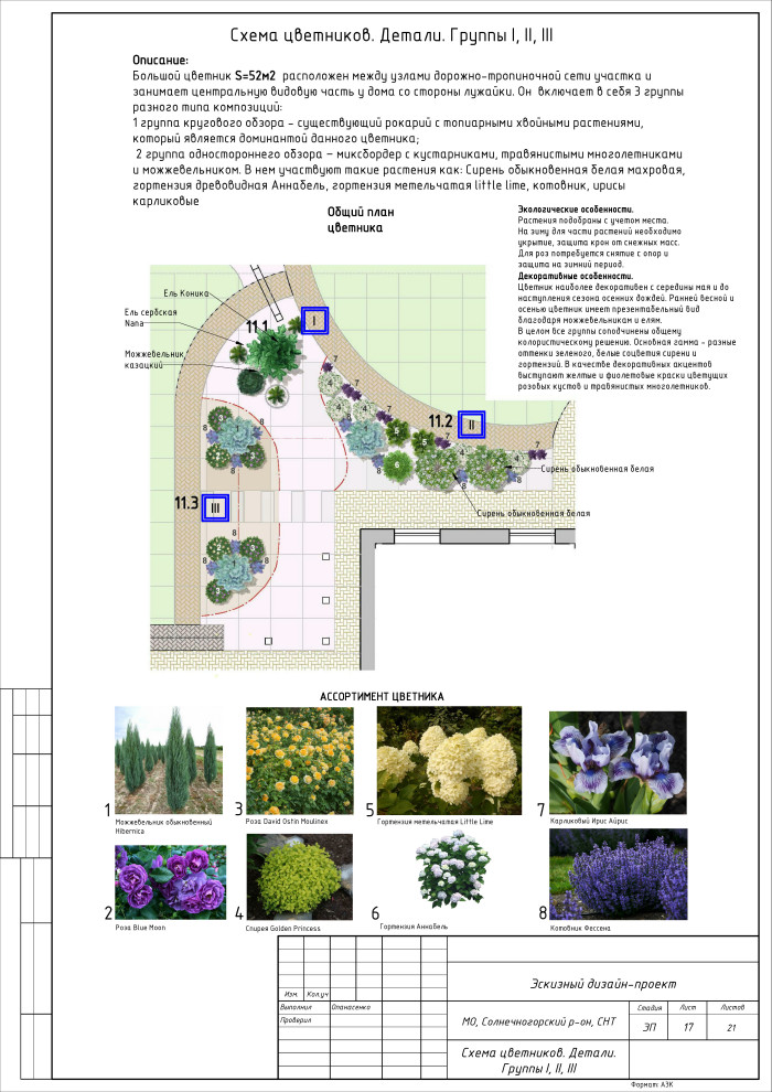 Лес или сад
