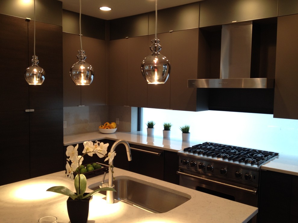 This is an example of a contemporary kitchen in Cincinnati.