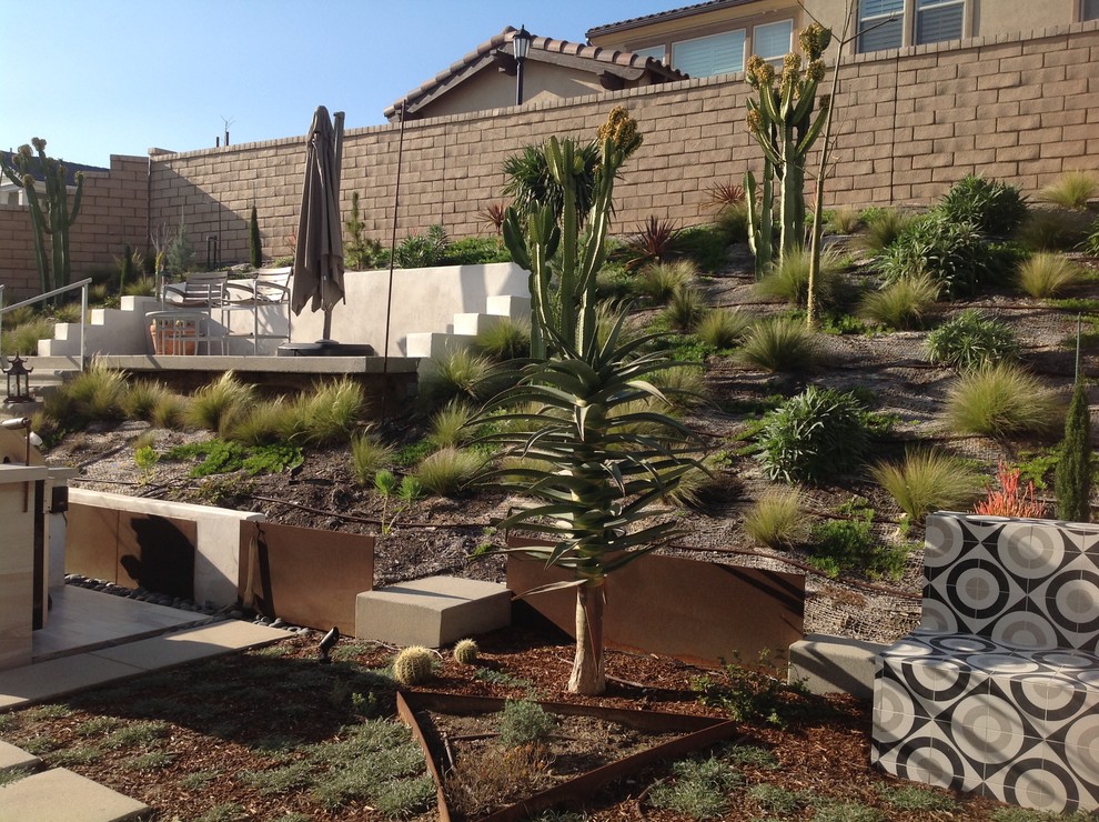 Design ideas for a large modern backyard partial sun xeriscape for summer in San Diego with a container garden and concrete pavers.