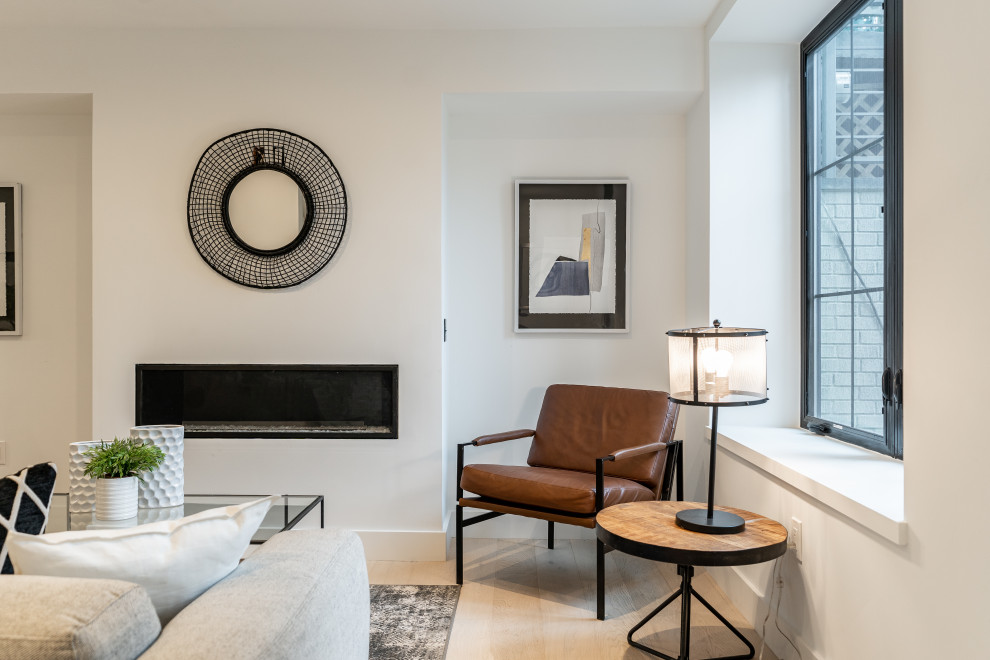 Southwest DC Duplex Renovation