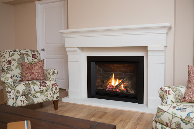 H5 Series Fireplace Contemporary Vancouver By Valor Fireplaces