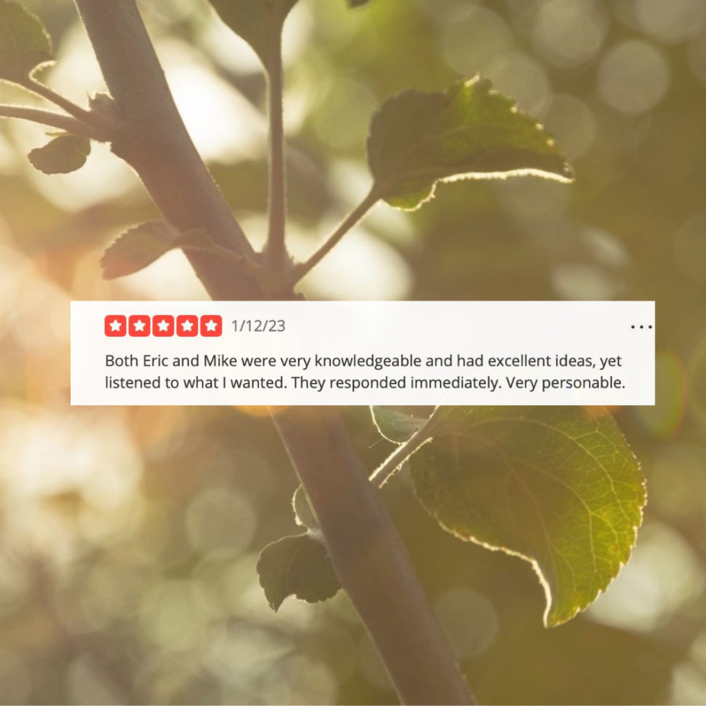 Reviews