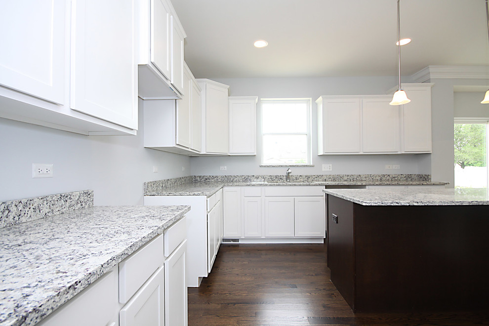 Inspiration for a transitional home design remodel in Chicago