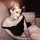 Last commented by Molly Van Guilder