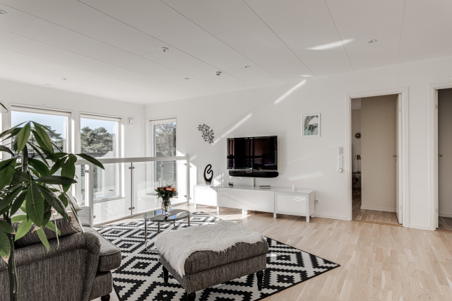 Sal&oacute;n scandinavian-living-room