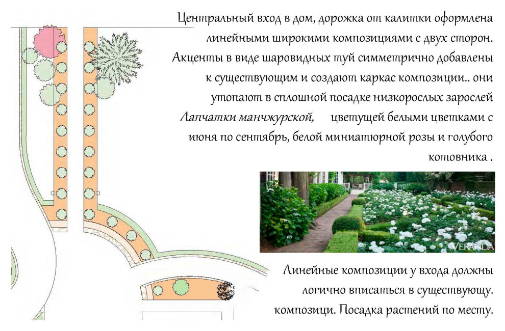 Классика в белом. Фрагменты