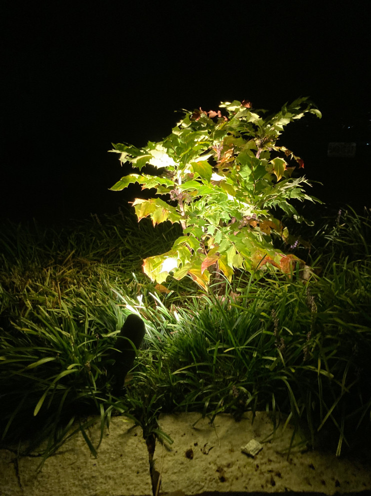 Landscape Lighting and Landscaping