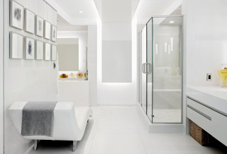 Louis Vuitton Bathroom - Photos & Ideas