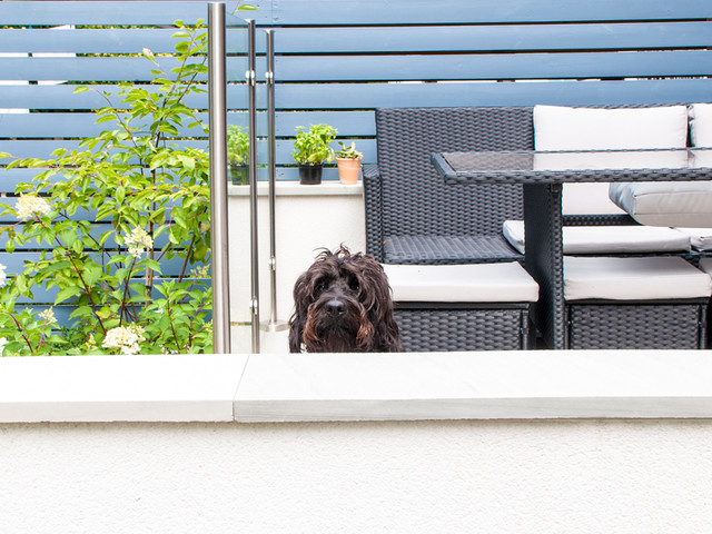 How To Create A Stylish Dog Friendly Backyard In The City - Dog Safe Patio Furniture