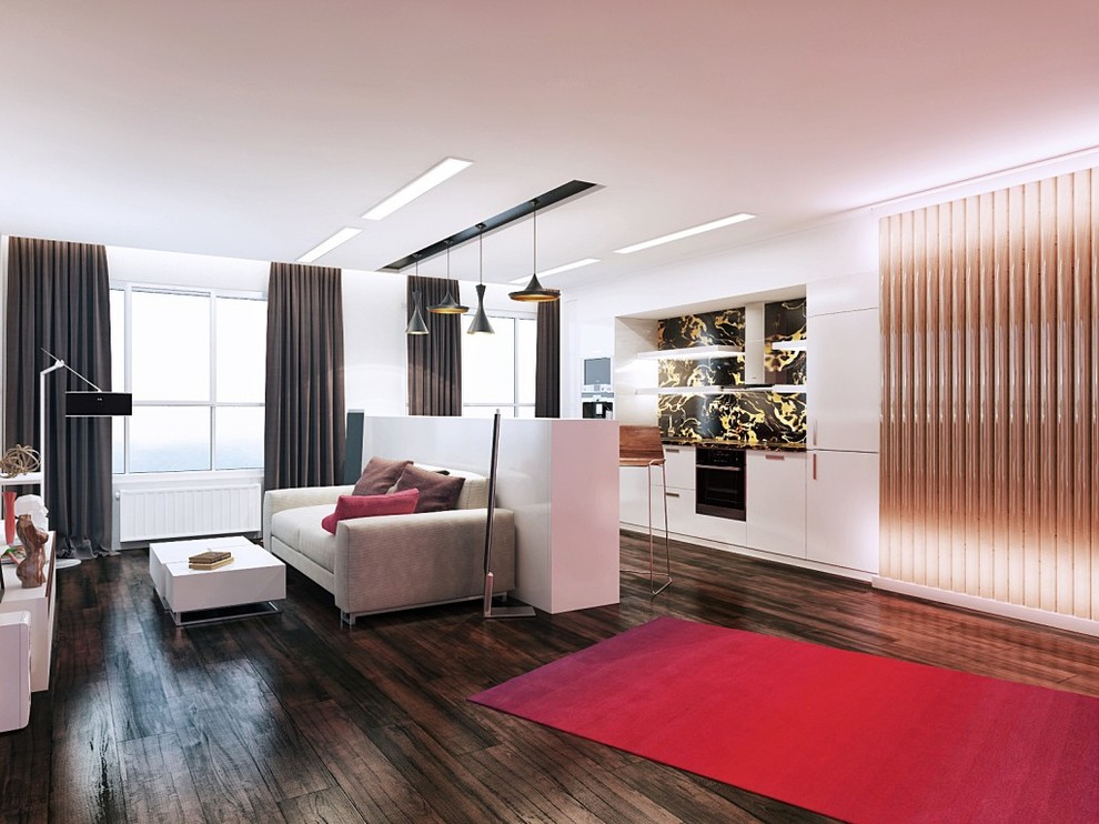 Город Пермь. Пентхаус для холостяка.