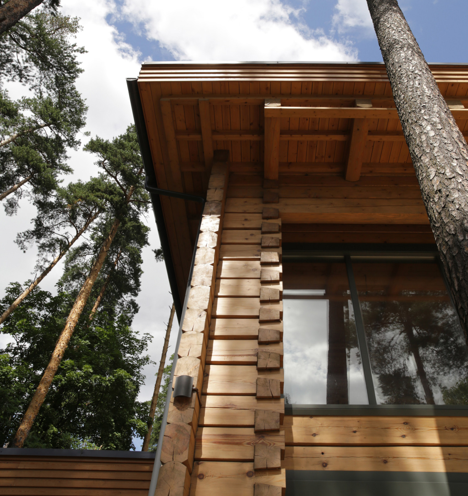 Дом в сосновом лесу