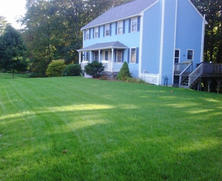 Photo of an expansive traditional front yard full sun formal garden for summer in Boston with mulch.