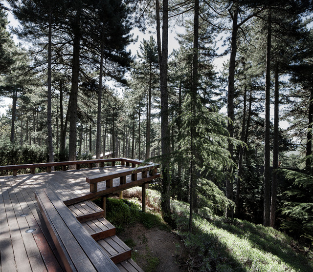 Casa Levene modern-fasad