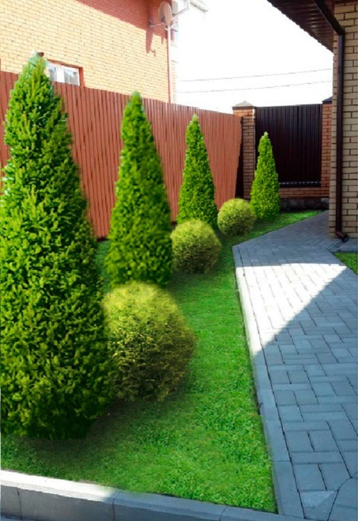 Проект малого сада