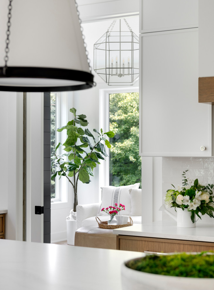 Home design - transitional home design idea in Minneapolis