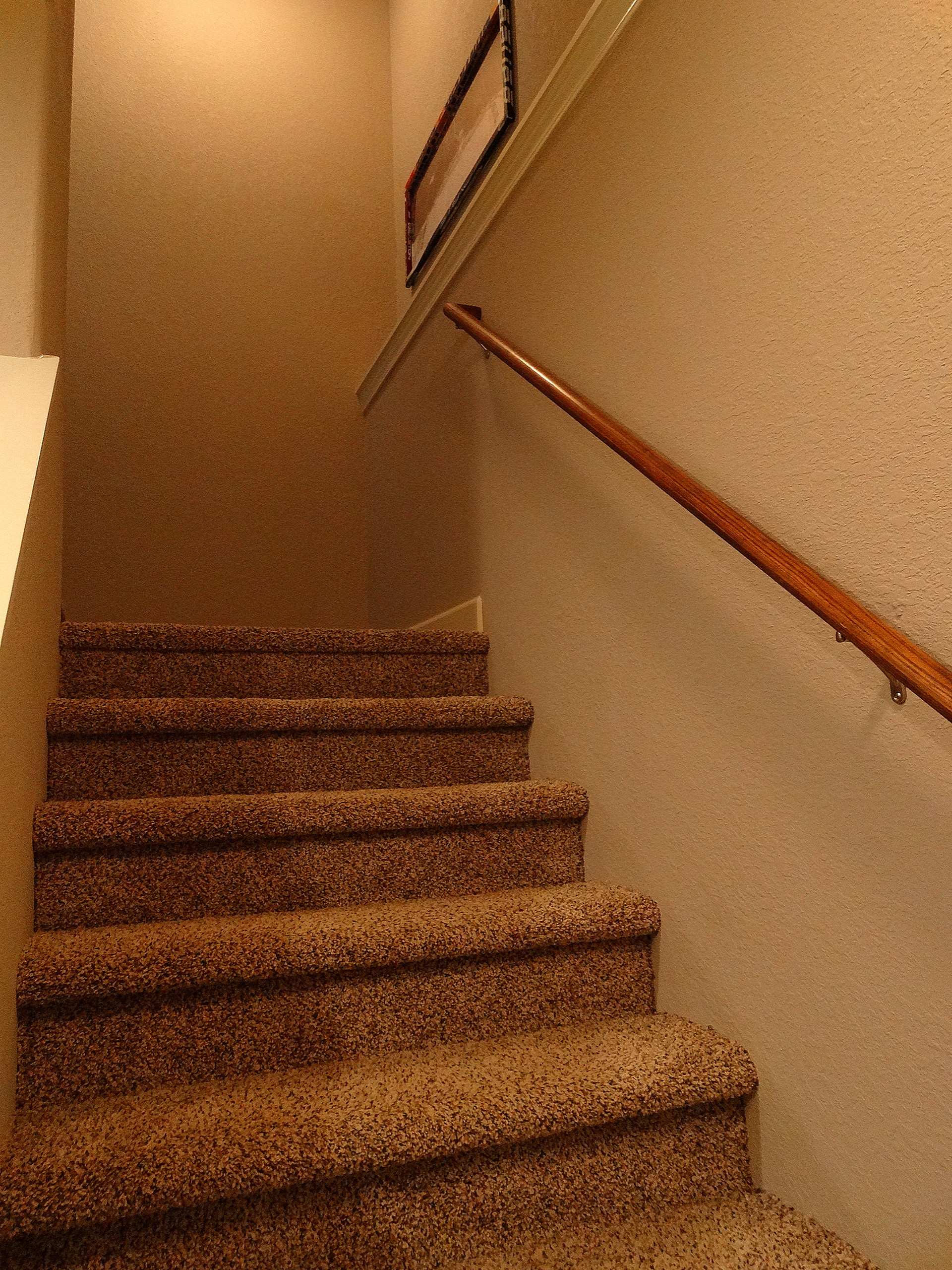 Lower Level Remodel in Lannon, WI