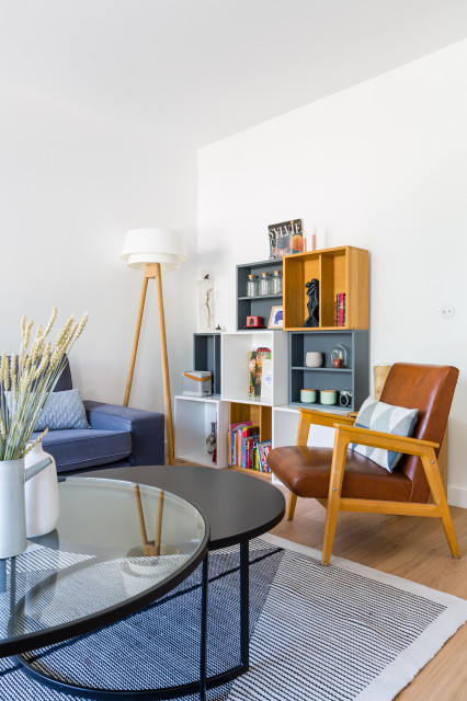 salon contemporary-living-room