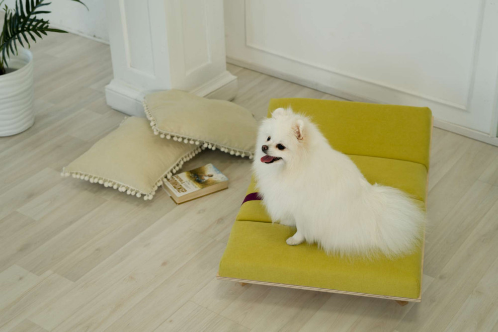 Мебель из массива для животных. Модель SONO-Y