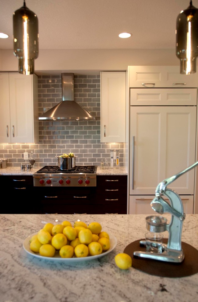 Kitchen - transitional kitchen idea in Minneapolis