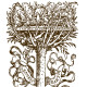 Heaven & Earth Landscape Design