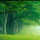 webuser_722556037