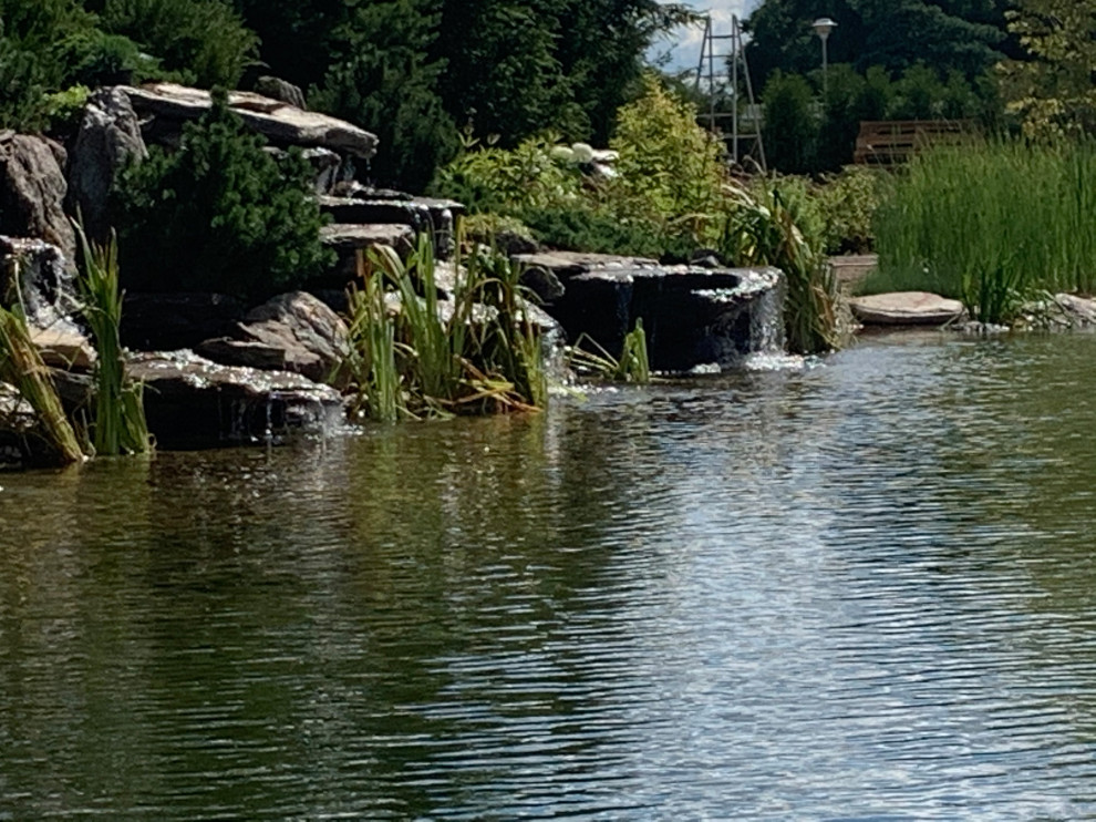 Ландшафт в поселке "Бенилюкс"