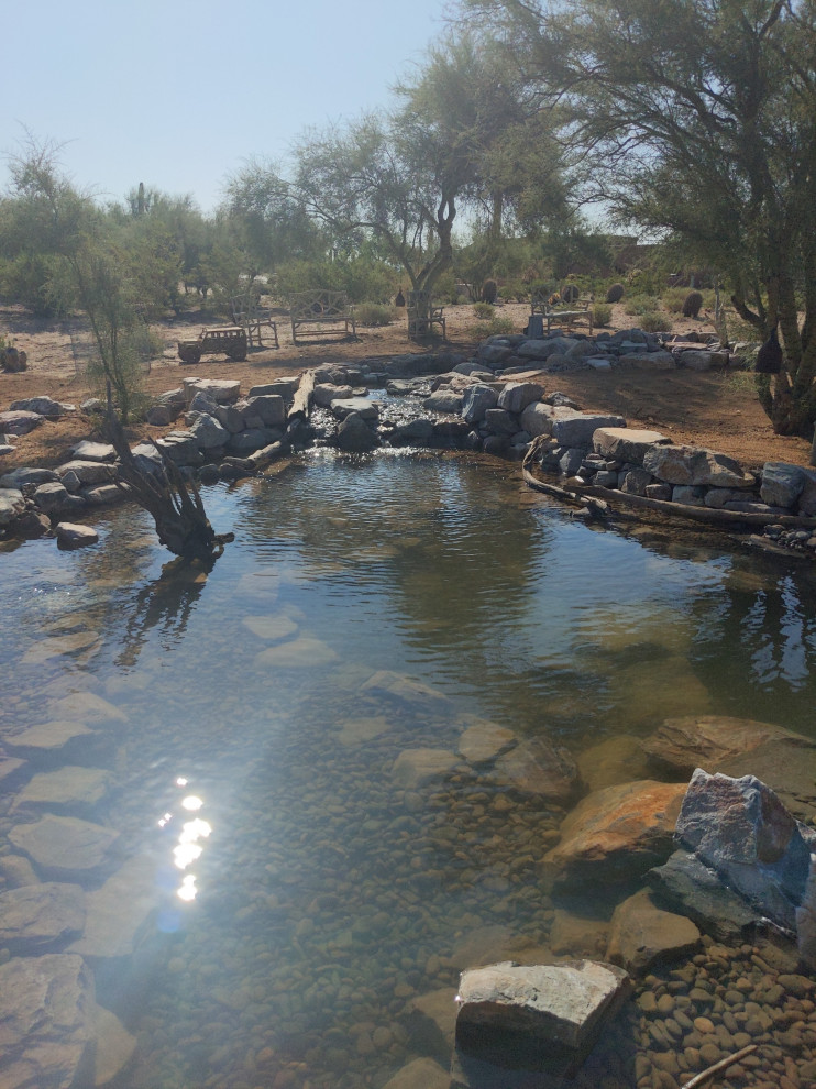 Photo of a large front yard full sun garden in Phoenix with with pond.
