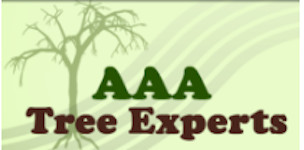 AAA TREE EXPERTS - Project Photos & Reviews - Roswell, GA US | Houzz