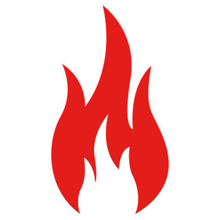 FIRETAINMENT, INC. - Project Photos & Reviews - Orlando, FL US | Houzz