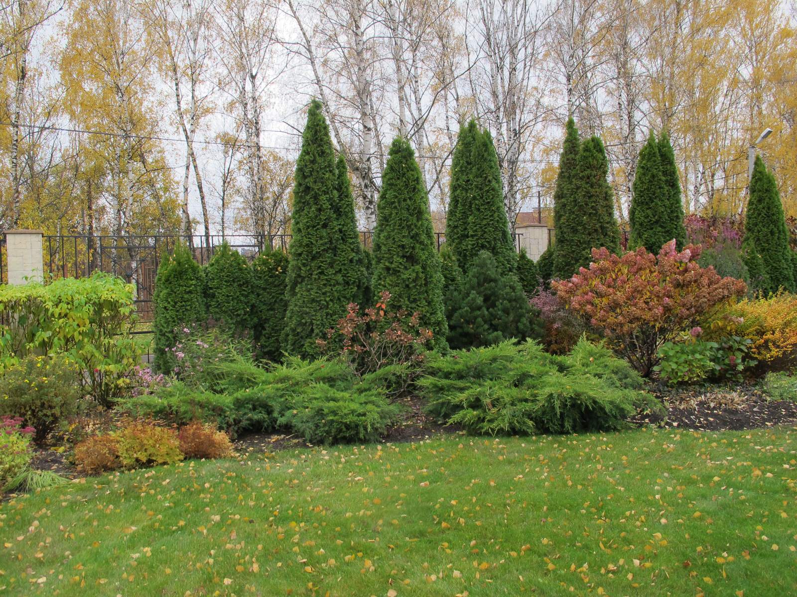 Сад Шехерезады в поселке Старбеево