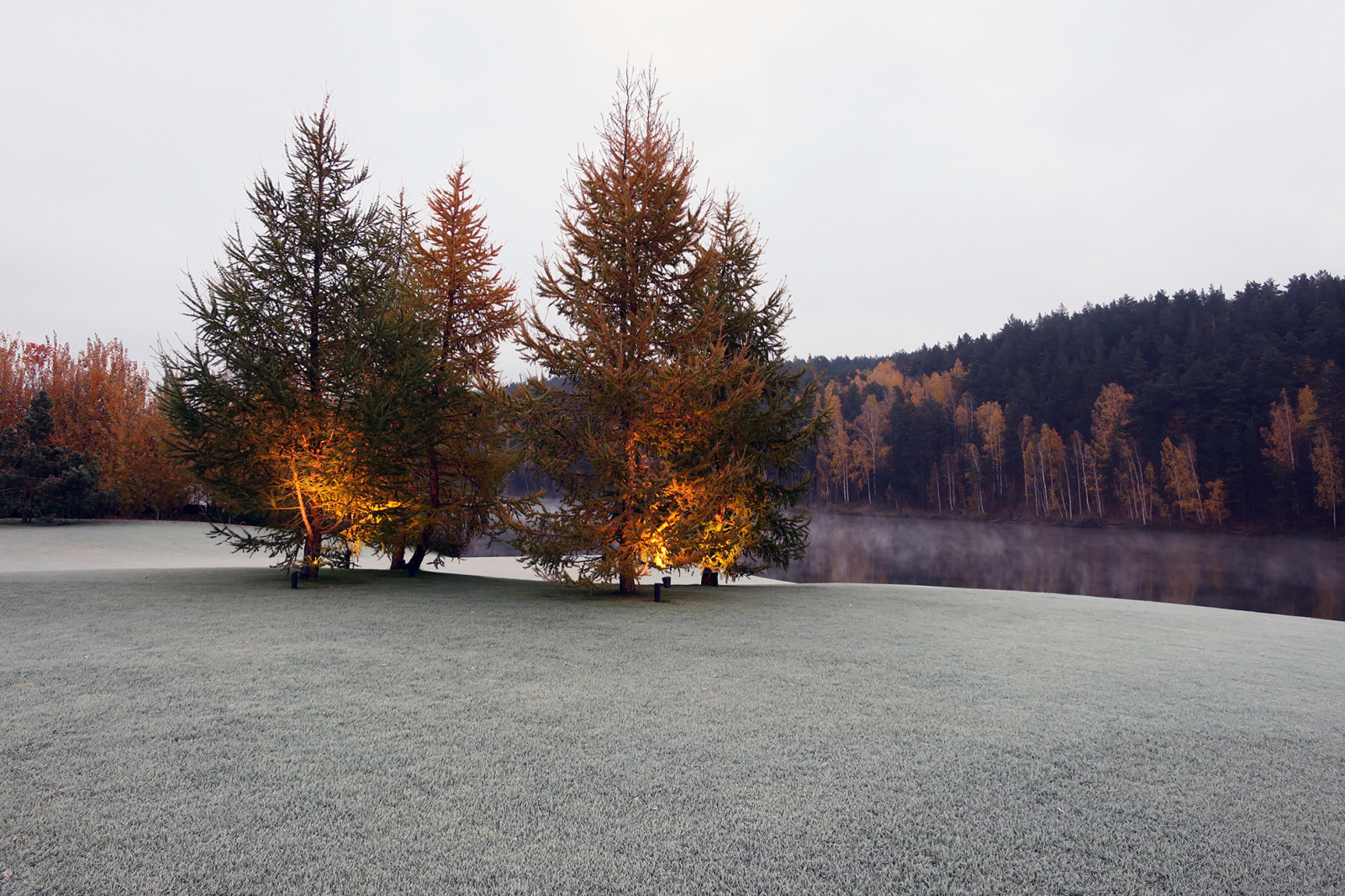 Новый пейзаж