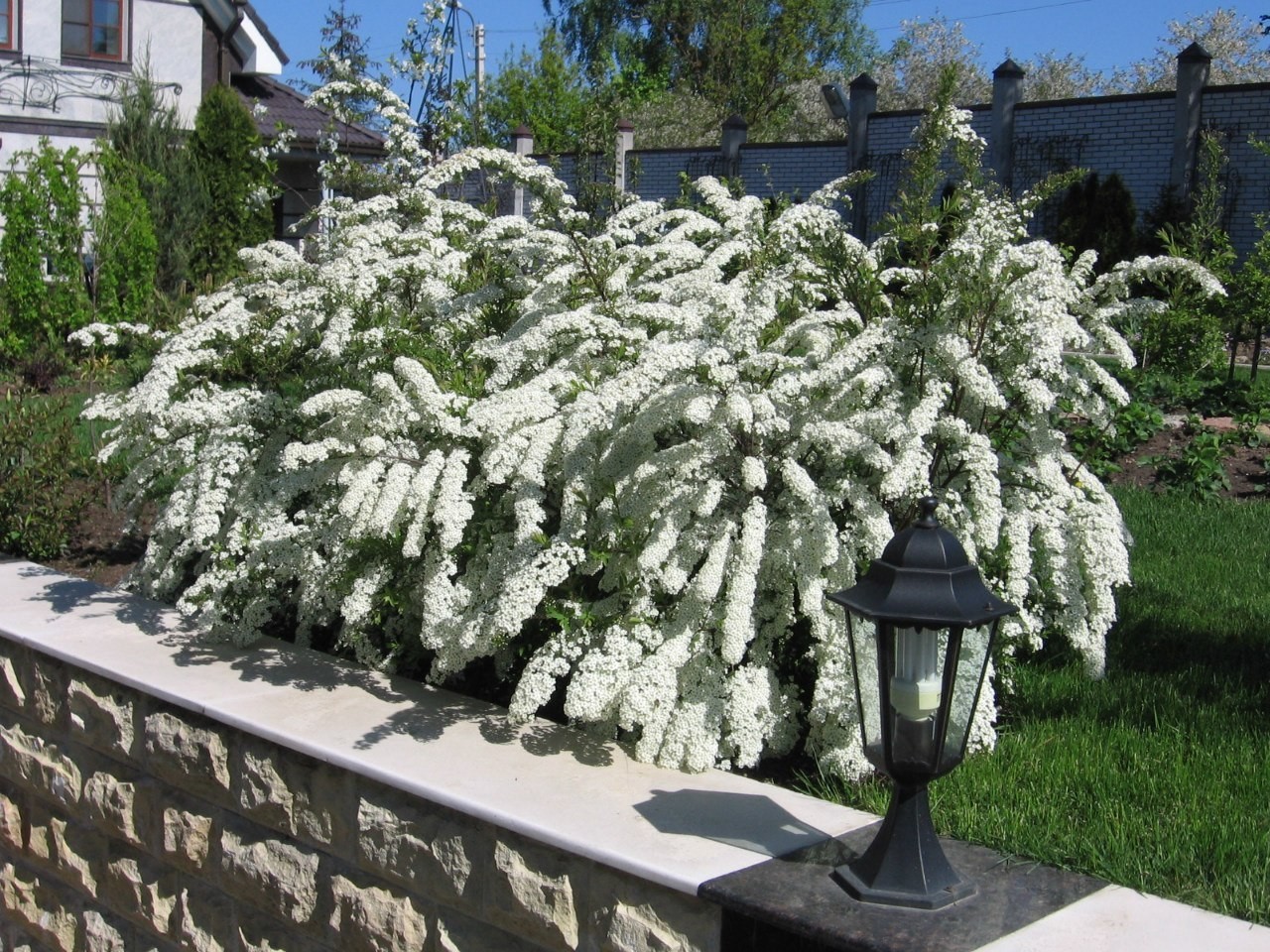 Участок в Парголово