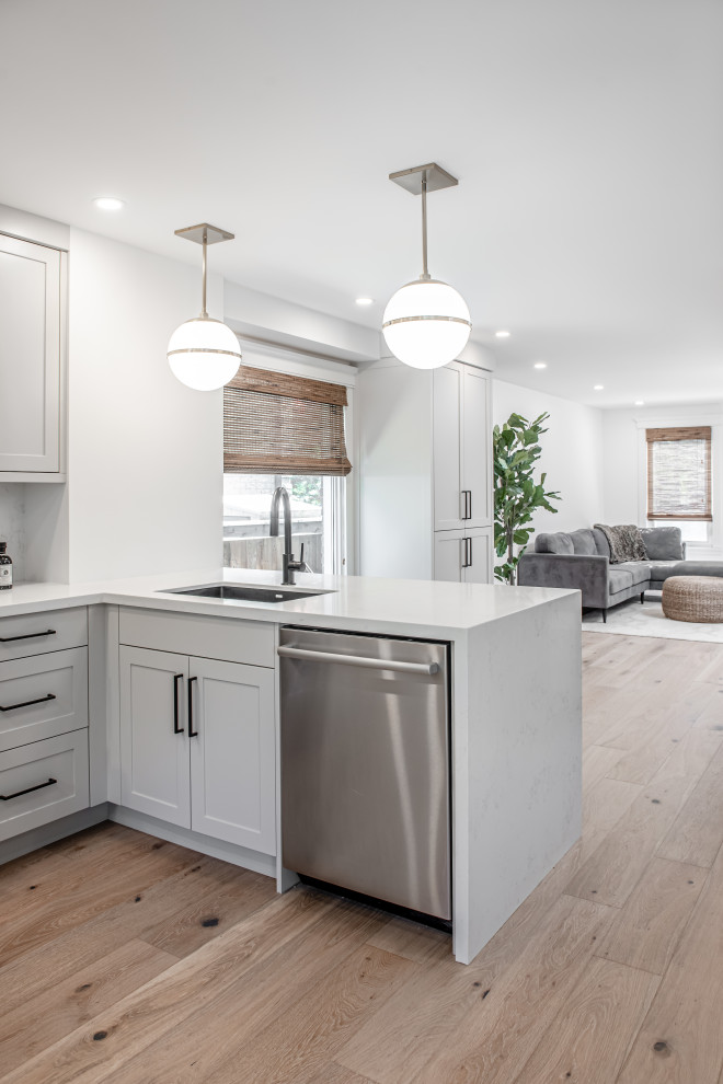 Danish home design photo in Toronto