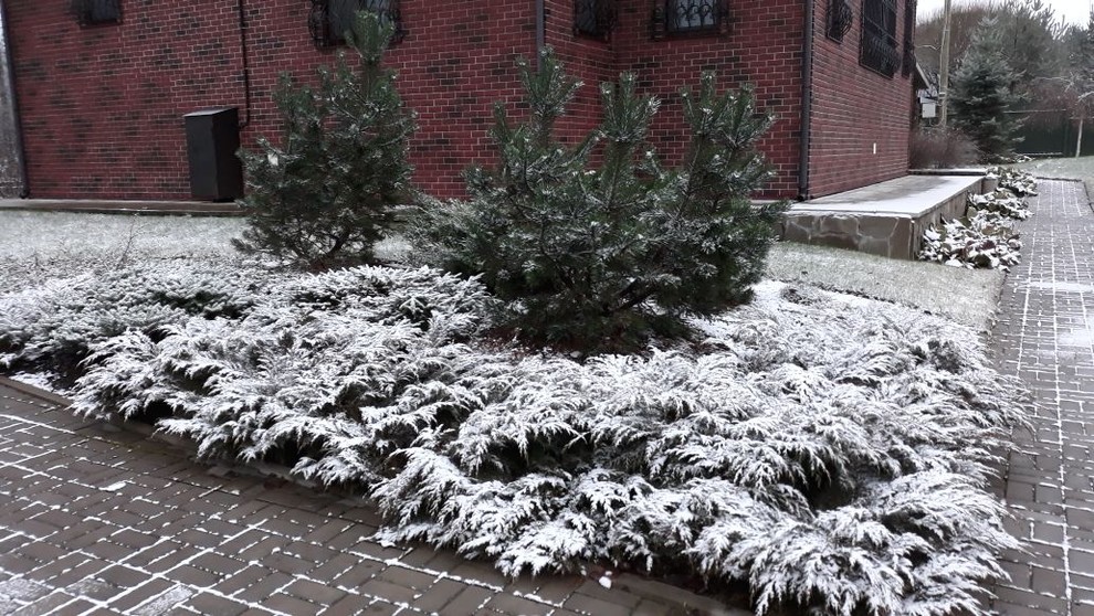 Сад  на холмах