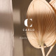 CARLO Design