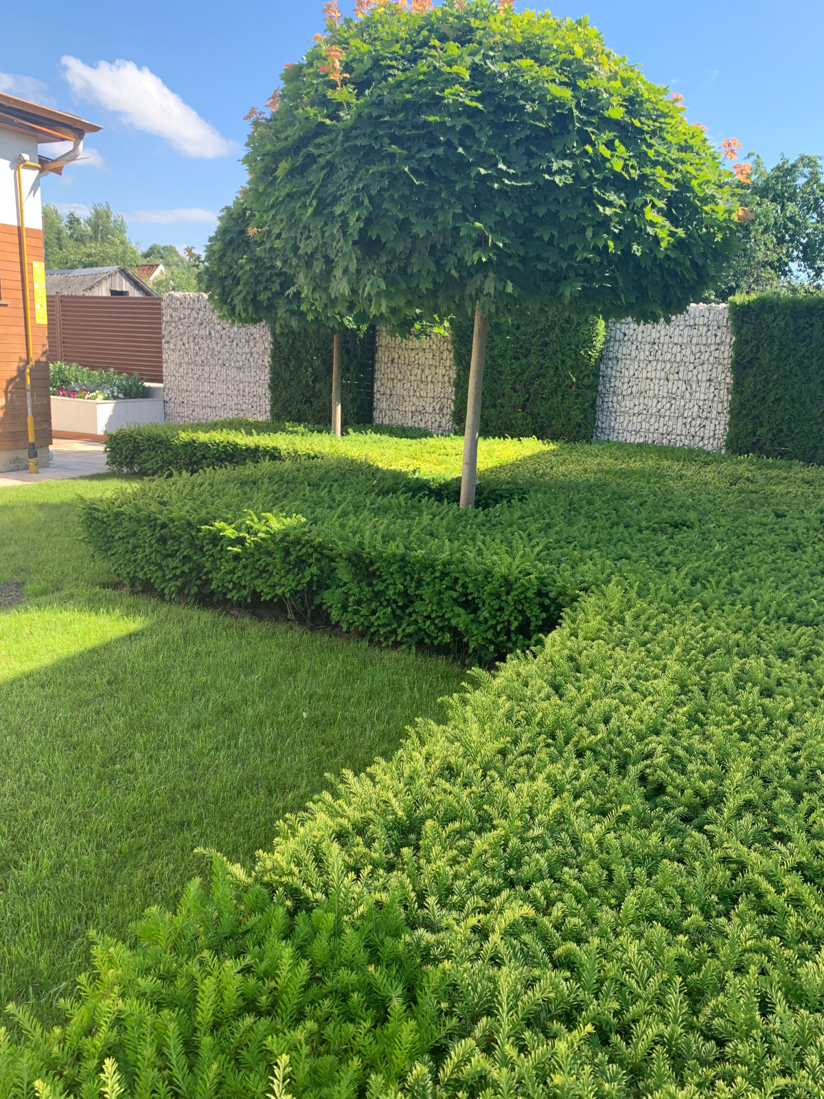 Семейный сад