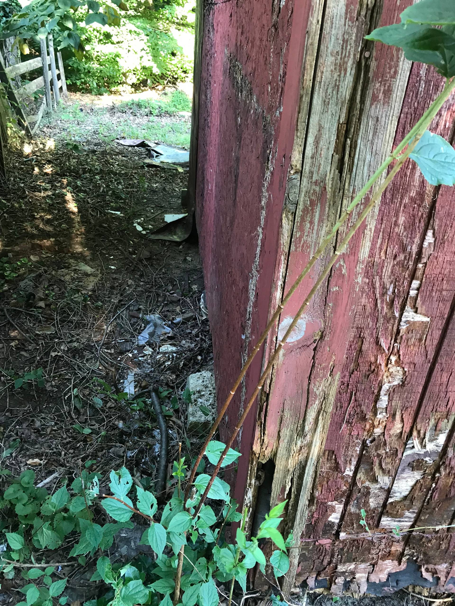 Shed Renovation Project