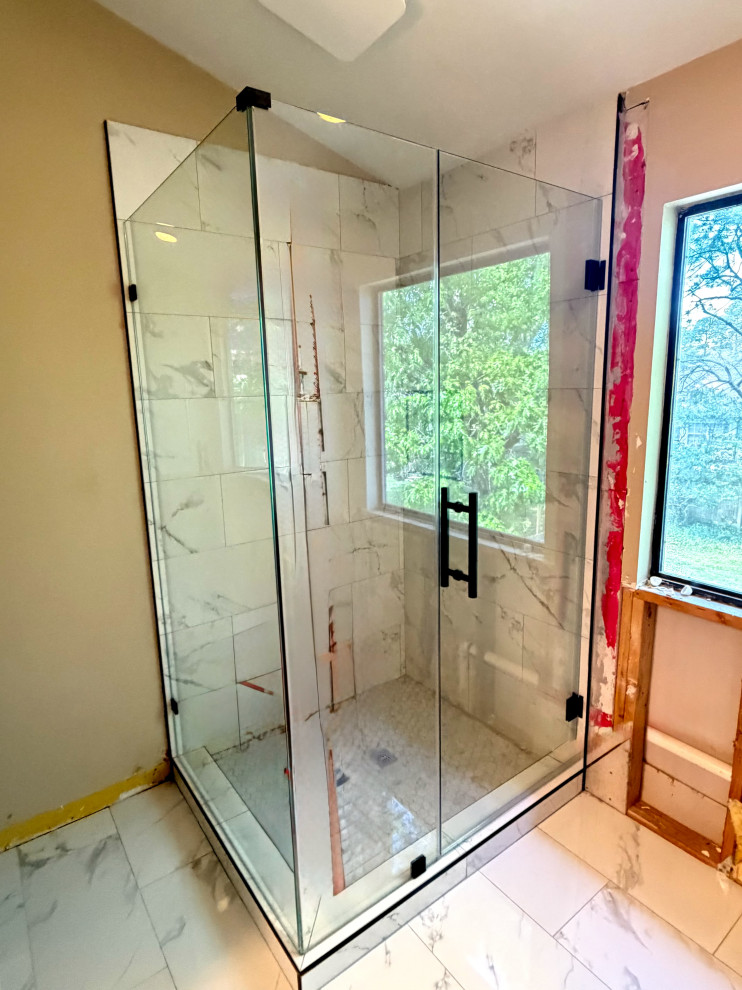 shower enclosure with swing door  frameless