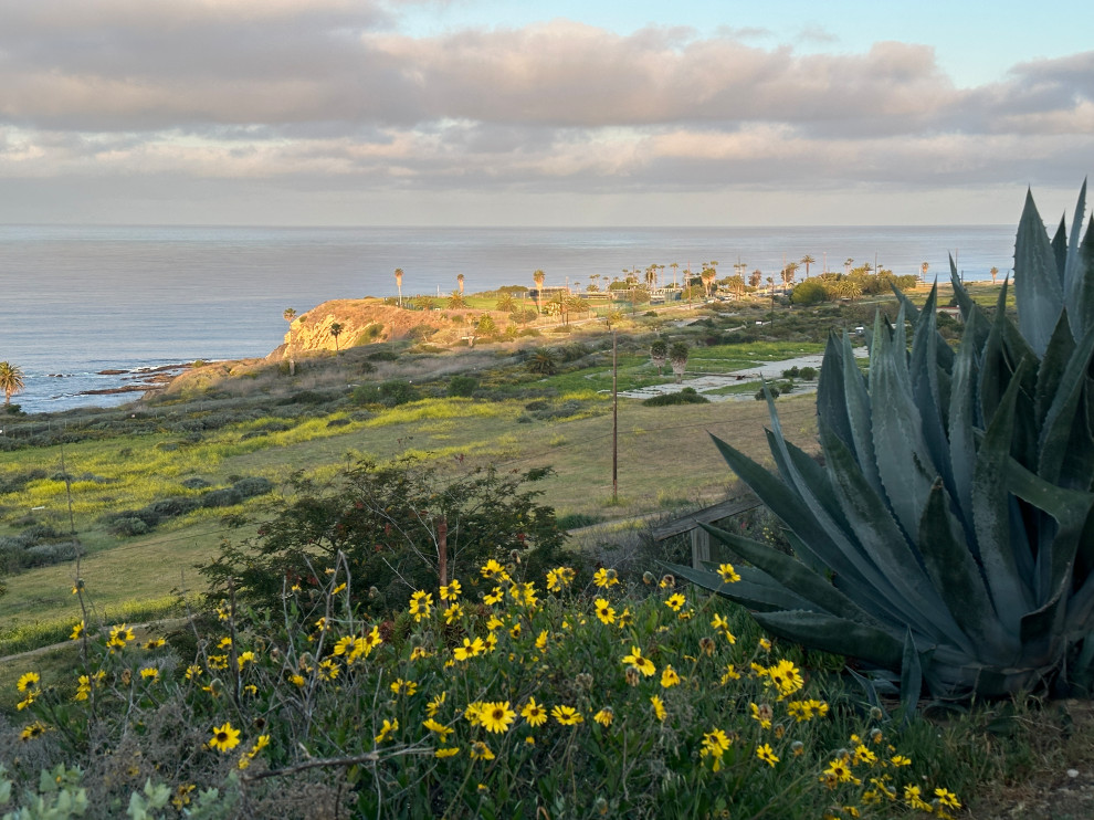 Morning sun on White Point Nature Preserve, April 2025
